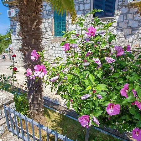 Funtana Rooms Guest house 3*